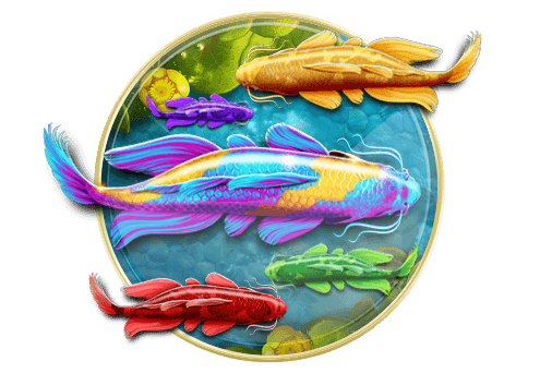 Koi Harmony