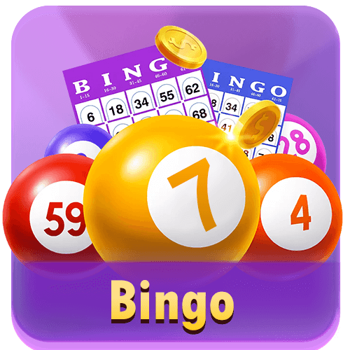 Bingo